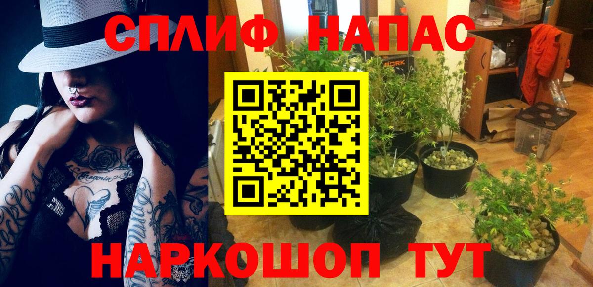 Сарапул  Бошки Шишки план  Вход с VPN  Марихуана конопля 